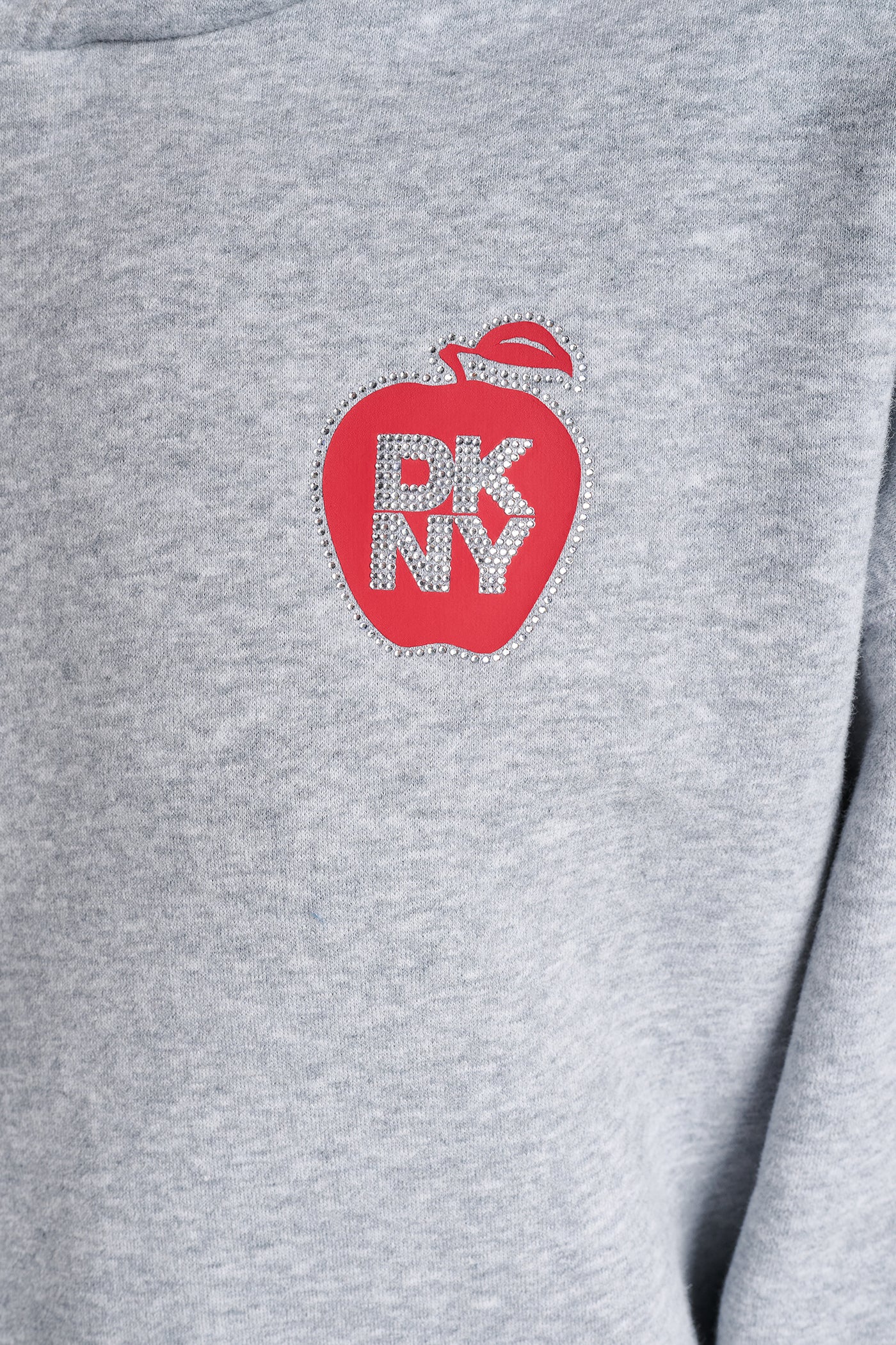 OVERSIZED BIG APPLE LOGO HOODIE - Image 6