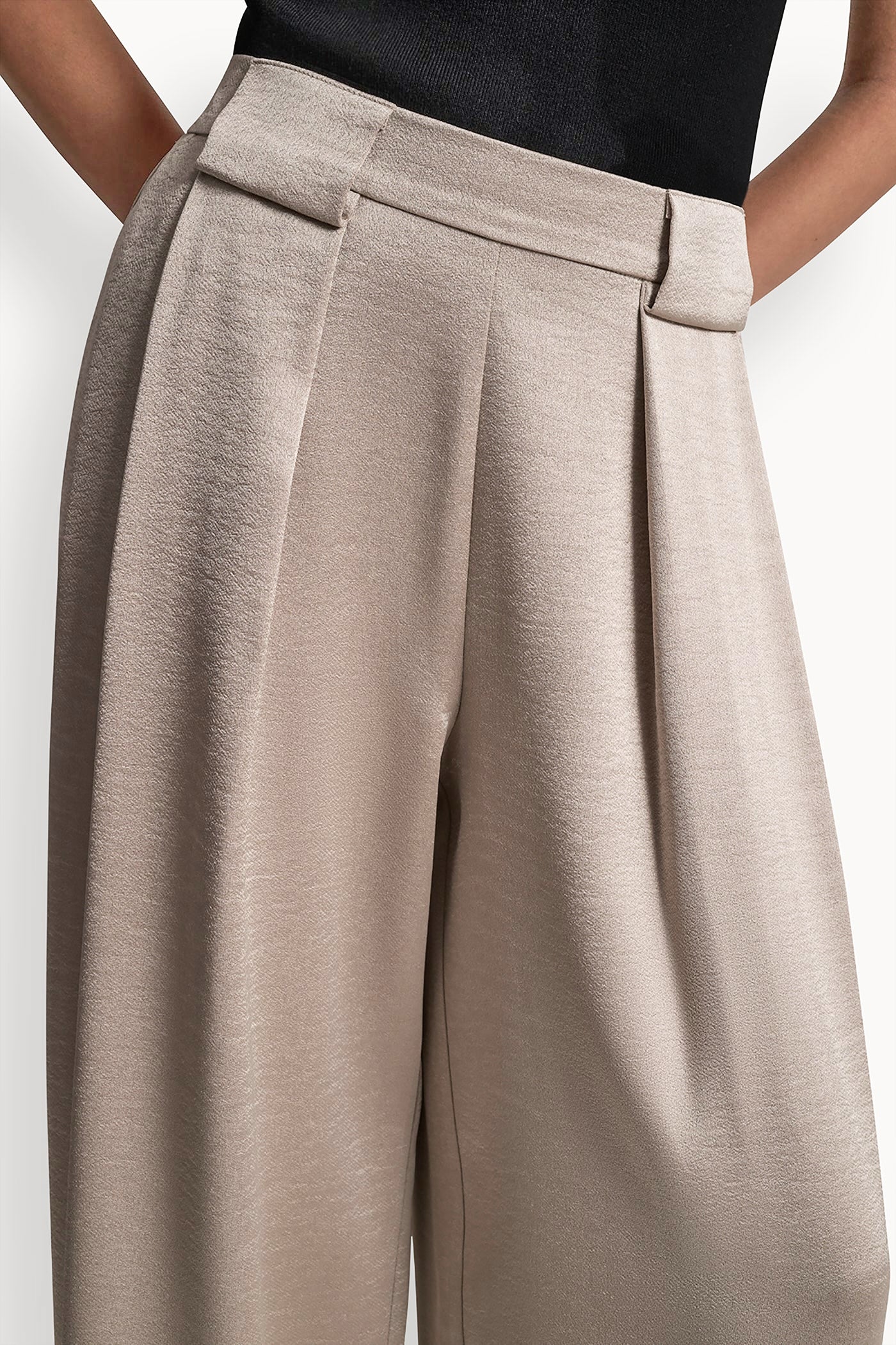 HIGH-RISE SATIN PLEATED WIDE-LEG PANT - Image 6